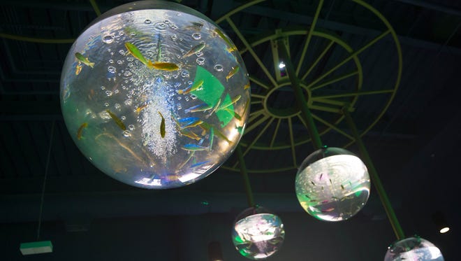 Aquariums in the aqua lobby at OdySea Aquarium near Scottsdale on Sept. 7, 2016.