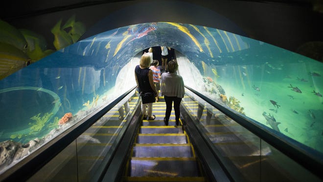 Visitors go down the deep ocean escalators at OdySea Aquarium near Scottsdale on Sept. 7, 2016.