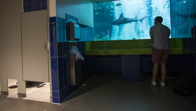 The men's bathroom has a view of the aquarium at OdySea Aquarium near Scottsdale on Sept. 7, 2016.