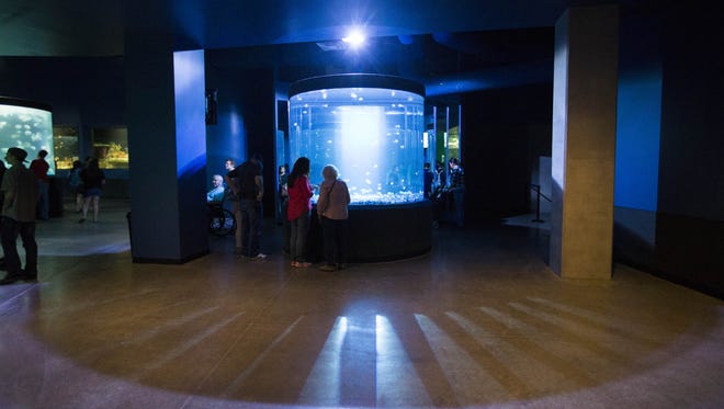 Visitors look at the jellyfish at OdySea Aquarium near Scottsdale on Sept. 7, 2016.