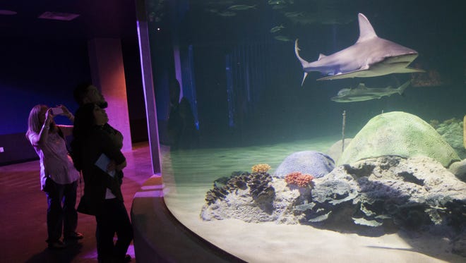 Visitors look at the shark waters exhibit at OdySea Aquarium near Scottsdale on Sept. 7, 2016.