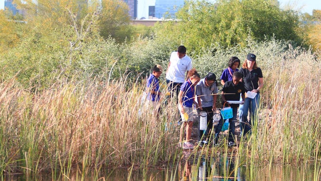 Kids participate in "pond dipping"  testing water quality exercise at the  Nina Mason Pulliam Rio Salado Audubon Center in Phoenix on Wednesday, April 11, 2012.