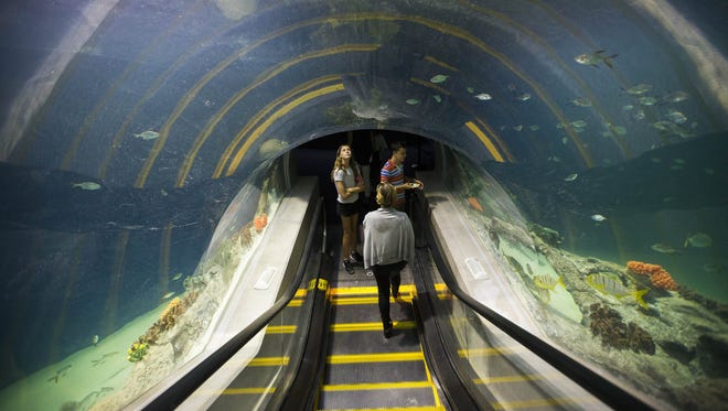 Visitors go down the deep ocean escalators at OdySea Aquarium near Scottsdale on Sept. 7, 2016.