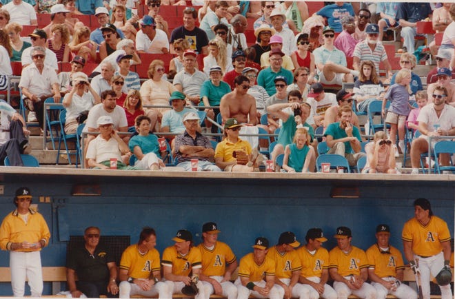 The Oakland A’s watch the action from the dugout as fans watch above in the stands during the first Cactus League game between the A’s and the Cubs during spring training March 27, 1990.
