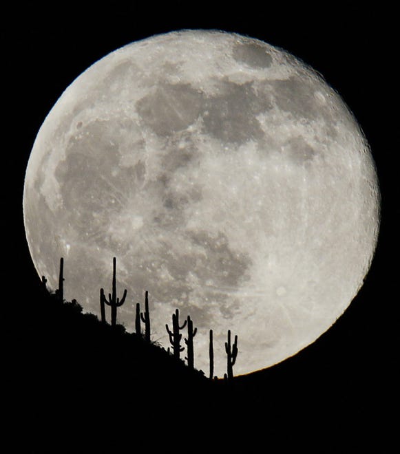 The first full moon of December 2009 rises over a stand of saguaro cactuses on a ridge line east of New River, Ariz.