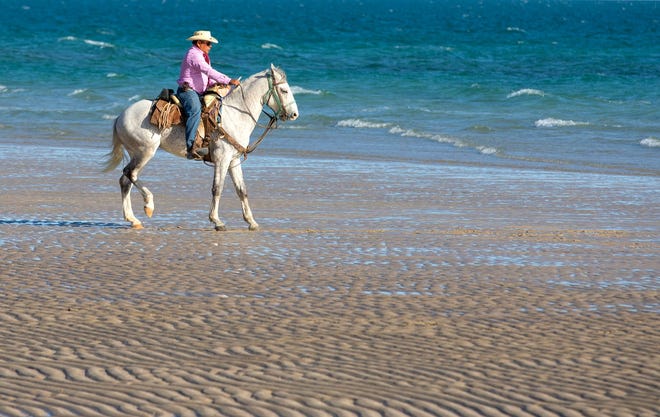 Clemente Vásquez Montoya monta su caballo, Morro, en Sandy Beach en Puerto Peñasco, México. Montoya alquila caballos para montar en la playa.