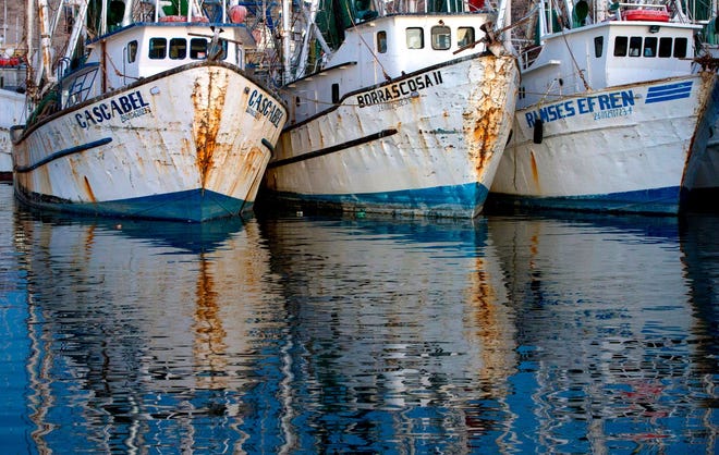 Los barcos camaroneros están atracados en Puerto Peñasco, México. La temporada del langostino es de septiembre a mediados de abril.