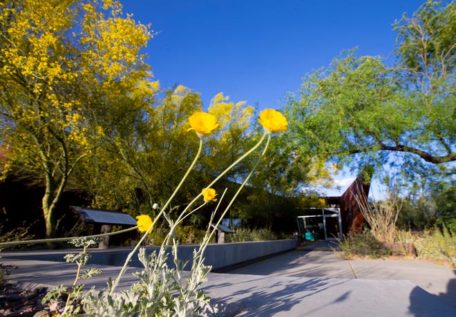 The Rio Salado Audubon Center in Phoenix celebrates it's 10 year anniversary this year.