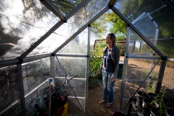 Cathy Wise, Audubon Arizona education director, stands near a green house at the Rio Salado Audubon Center in Phoenix. They use the green house to grow milkweed for butterflies.