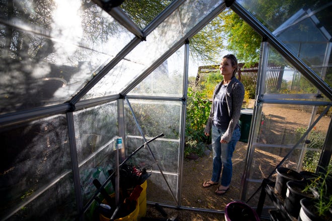 Cathy Wise, Audubon Arizona education director, stands near a green house at the Rio Salado Audubon Center in Phoenix. They use the green house to grow milkweed for butterflies.