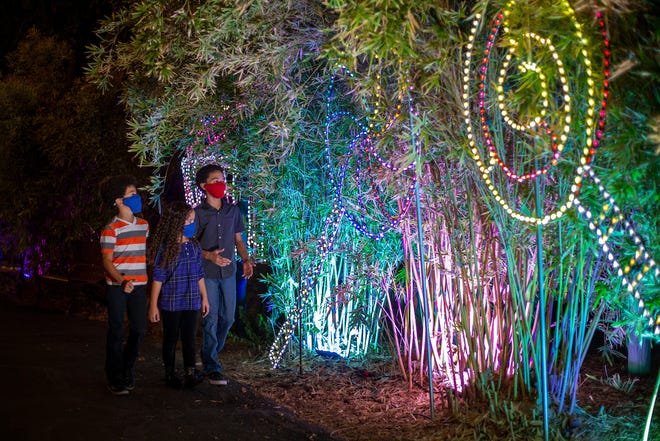 Phoenix Zoo’s annual Zoolights offers colorful light displays for people of different ages.