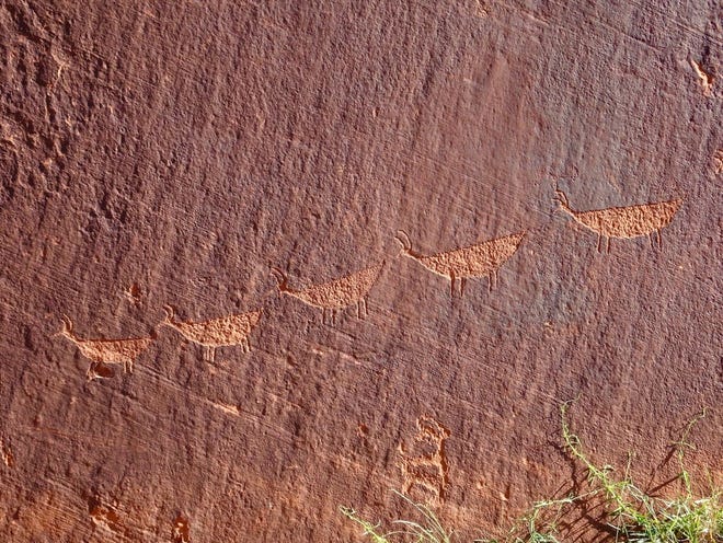 Los paneles de arte rupestre están grabados en la pared del acantilado sobre Petroglyph Beach en Glen Canyon.