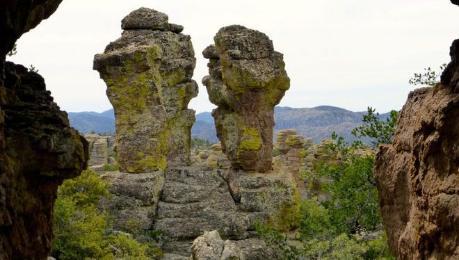 El Monumento Nacional Chiricahua es un parque de 12,000 acres ubicado en el condado de Cochise, al sureste de Willcox.