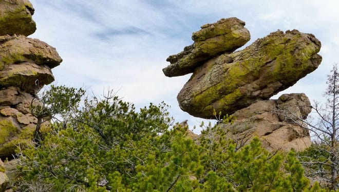 Duck on a Rock es una de las formaciones distintivas en Heart of Rocks Loop en el Monumento Nacional Chiricahua.