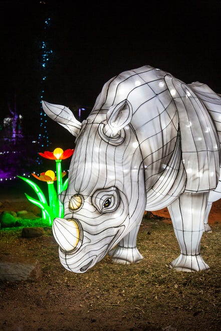 In 2021, the Phoenix Zoo is offering walking and driving options for its annual ZooLights display.