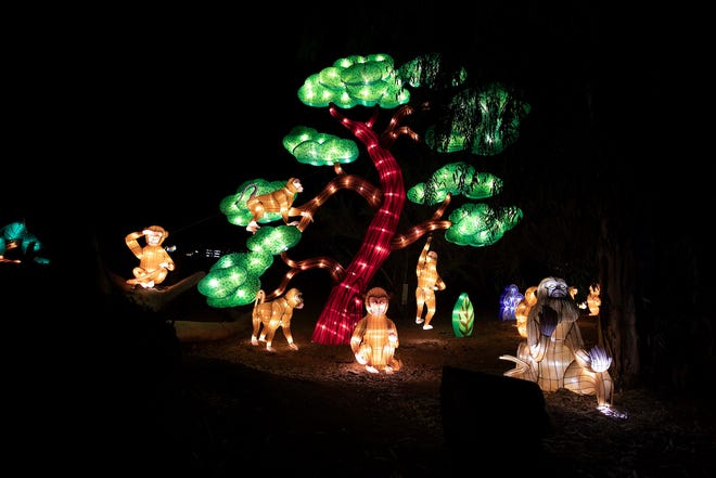 In 2021, the Phoenix Zoo is offering walking and driving options for its annual ZooLights display.