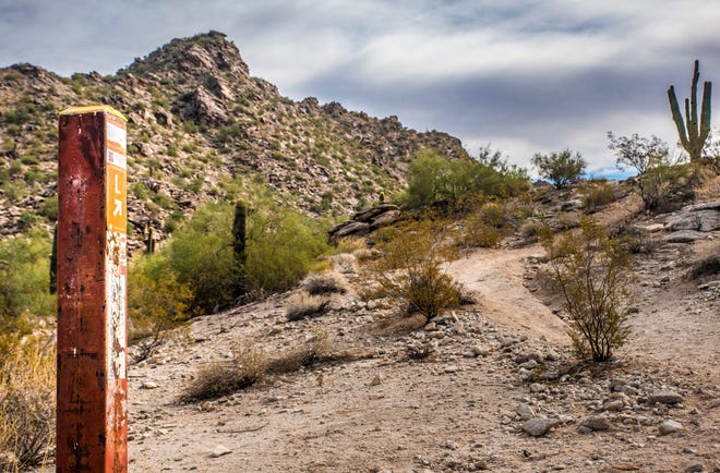 La Ciudad de Phoenix cuenta con 40 accesos a senderos y más de 200 millas de senderos, gratis para quienes deseen disfrutarlos.